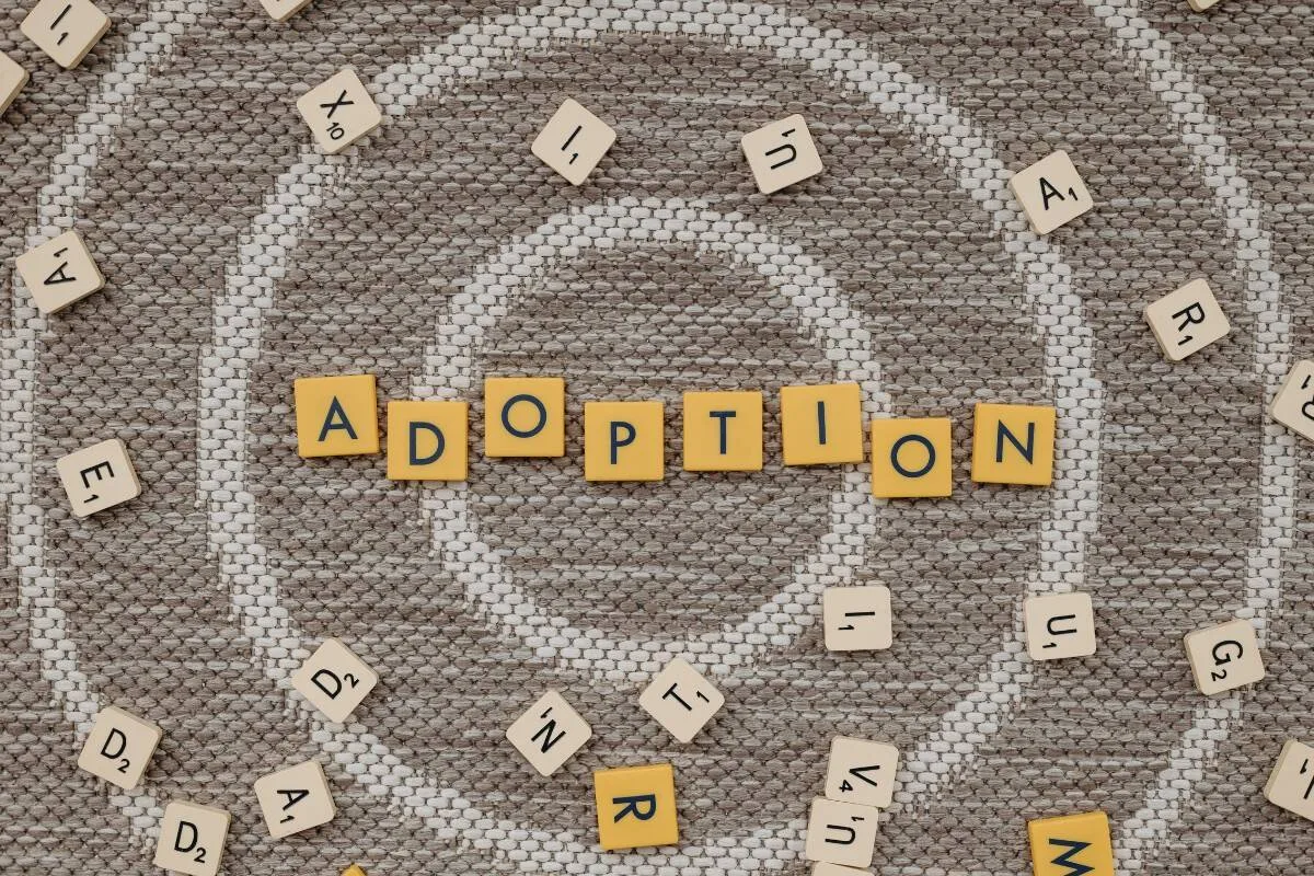 Adoption minderjähriger Kinder