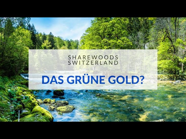 Sharewood Switzerland in Nöten